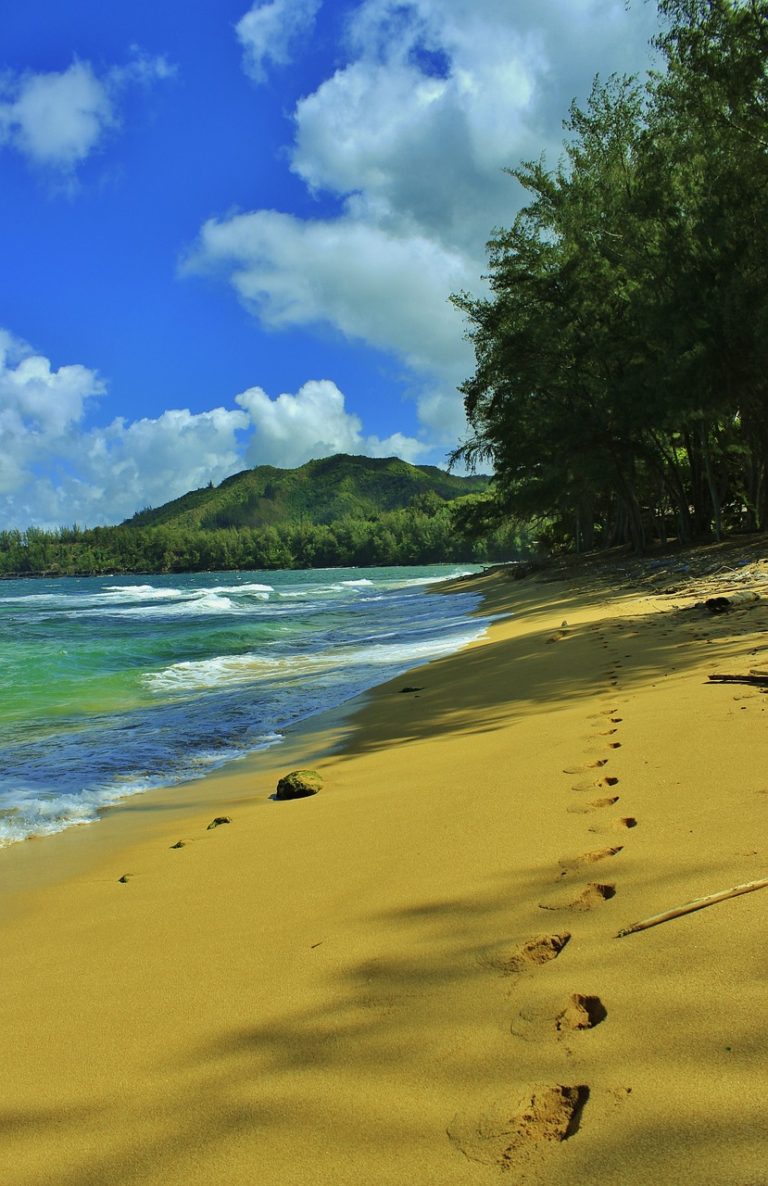 beach, tracks, sandy beach-276414.jpg